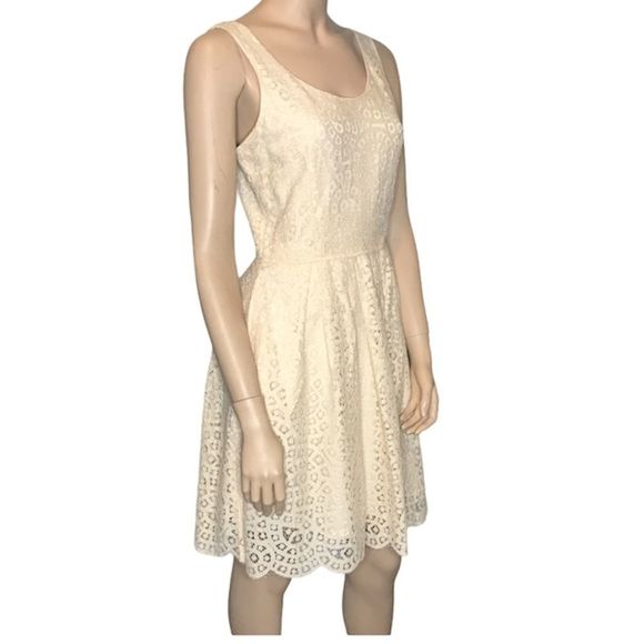 J Crew Factory Swirling Lace Fit and Flare Dress - Picture 1 of 11
